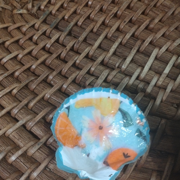 Small decopodgued sea shell - Picture 2 of 3